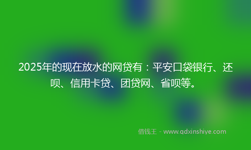 2025年的现在放水的网贷有：平安口袋银行、还呗、信用卡贷、团贷网、省呗等。