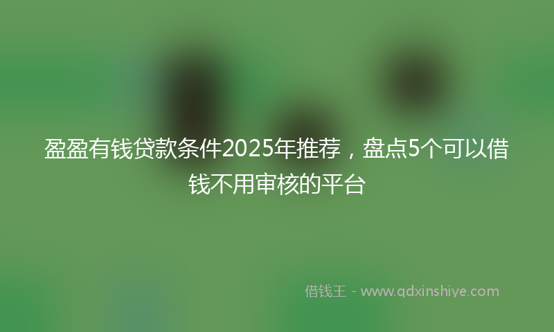 盈盈有钱贷款条件2025年推荐，盘点5个可以借钱不用审核的平台