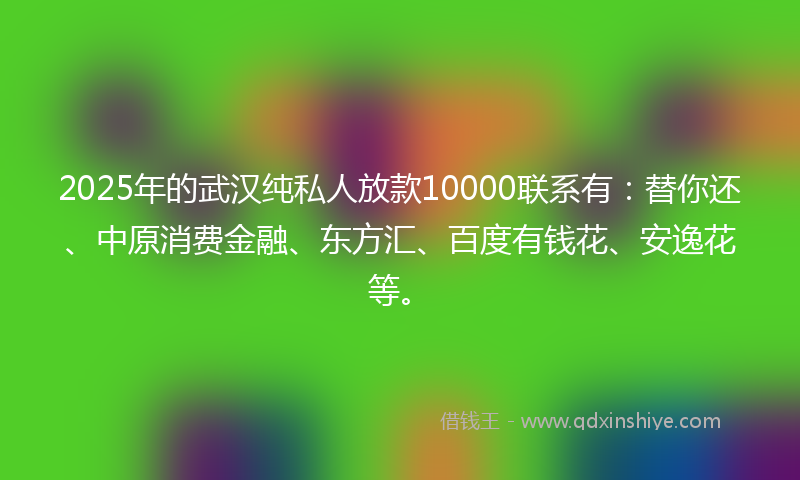 2025年的武汉纯私人放款10000联系有：替你还、中原消费金融、东方汇、百度有钱花、安逸花等。