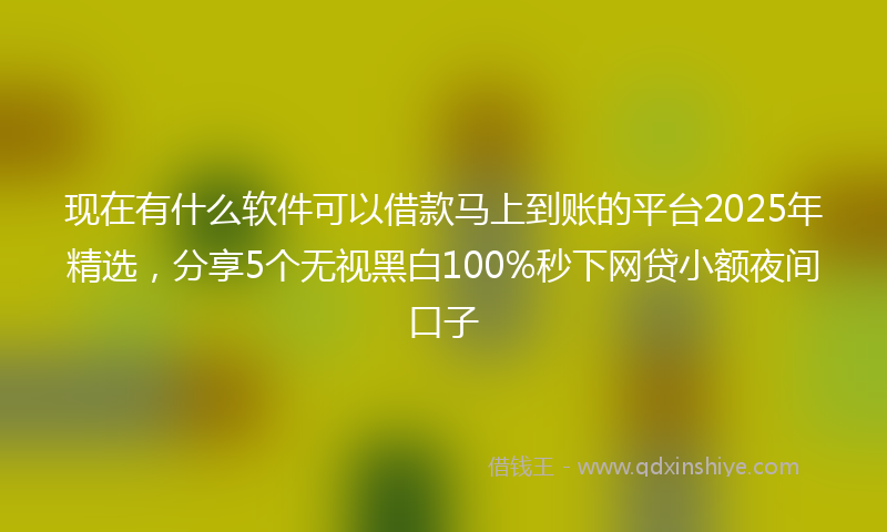 现在有什么软件可以借款马上到账的平台2025年精选，分享5个无视黑白100%秒下网贷小额夜间口子