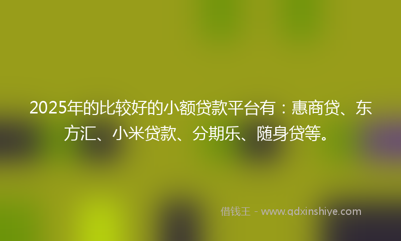 2025年的比较好的小额贷款平台有：惠商贷、东方汇、小米贷款、分期乐、随身贷等。
