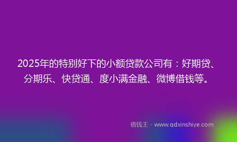 2025年的特别好下的小额贷款公司有：好期贷、分期乐、快贷通、度小满金融、微博借钱等。