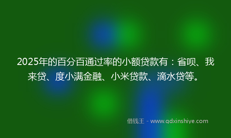 2025年的百分百通过率的小额贷款有：省呗、我来贷、度小满金融、小米贷款、滴水贷等。