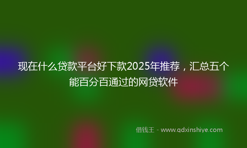 现在什么贷款平台好下款2025年推荐，汇总五个能百分百通过的网贷软件