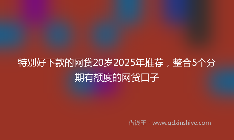 特别好下款的网贷20岁2025年推荐，整合5个分期有额度的网贷口子