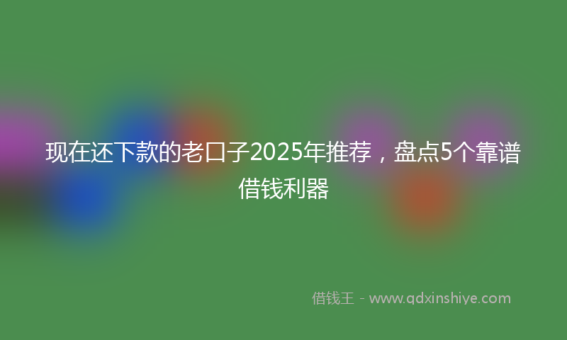 现在还下款的老口子2025年推荐，盘点5个靠谱借钱利器