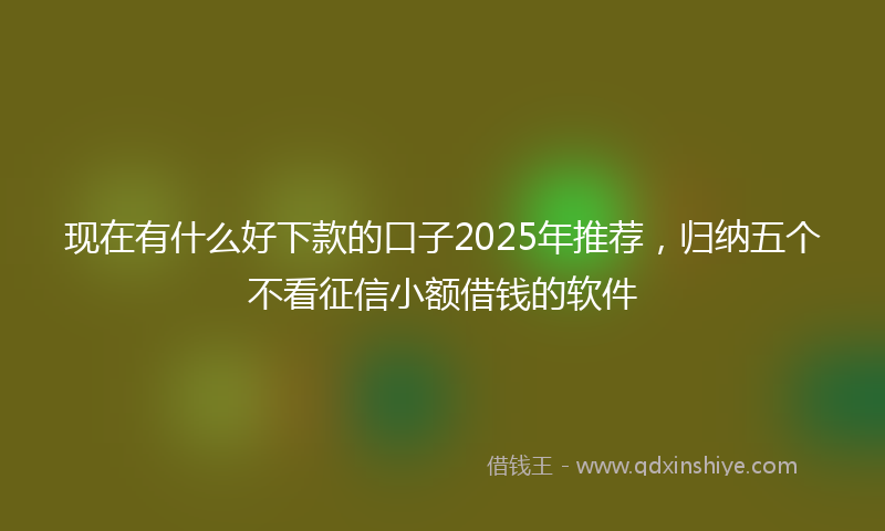 现在有什么好下款的口子2025年推荐，归纳五个不看征信小额借钱的软件