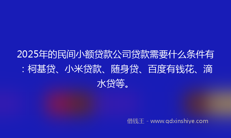 2025年的民间小额贷款公司贷款需要什么条件有：柯基贷、小米贷款、随身贷、百度有钱花、滴水贷等。