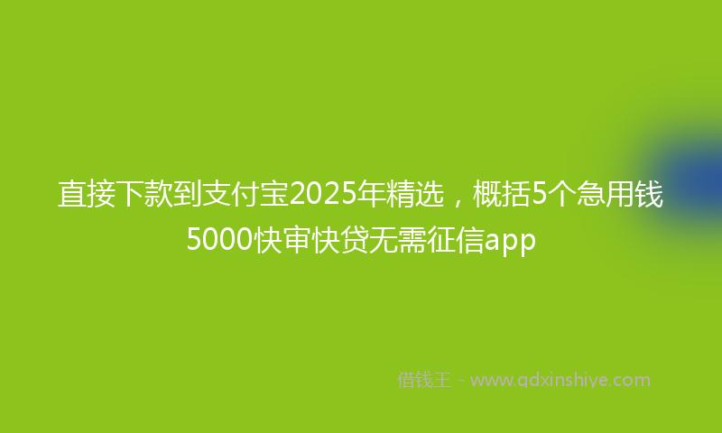 直接下款到支付宝2025年精选，概括5个急用钱5000快审快贷无需征信app