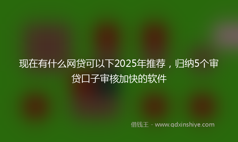 现在有什么网贷可以下2025年推荐，归纳5个审贷口子审核加快的软件