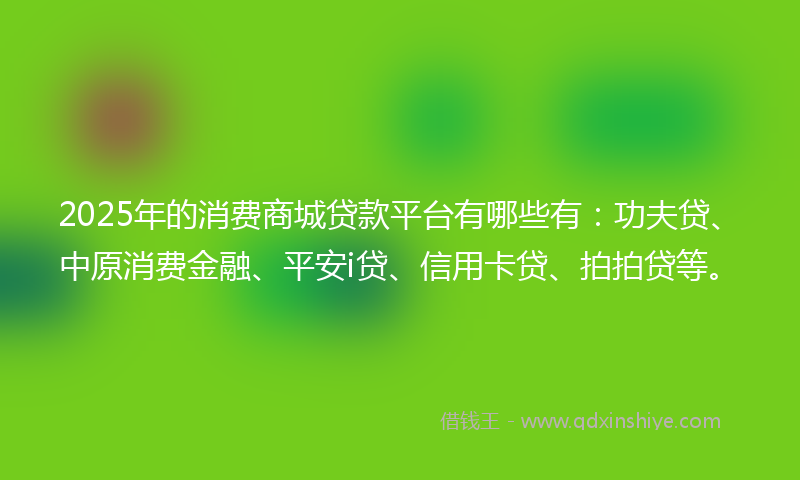 2025年的消费商城贷款平台有哪些有：功夫贷、中原消费金融、平安i贷、信用卡贷、拍拍贷等。