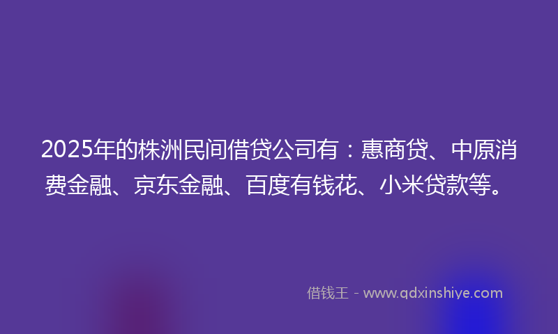 2025年的株洲民间借贷公司有：惠商贷、中原消费金融、京东金融、百度有钱花、小米贷款等。