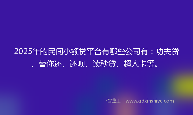 2025年的民间小额贷平台有哪些公司有：功夫贷、替你还、还呗、读秒贷、超人卡等。