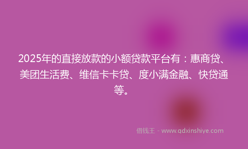 2025年的直接放款的小额贷款平台有：惠商贷、美团生活费、维信卡卡贷、度小满金融、快贷通等。
