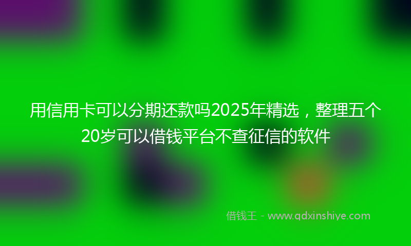 用信用卡可以分期还款吗2025年精选,整理五个20岁可以借钱平台不查征信的软件