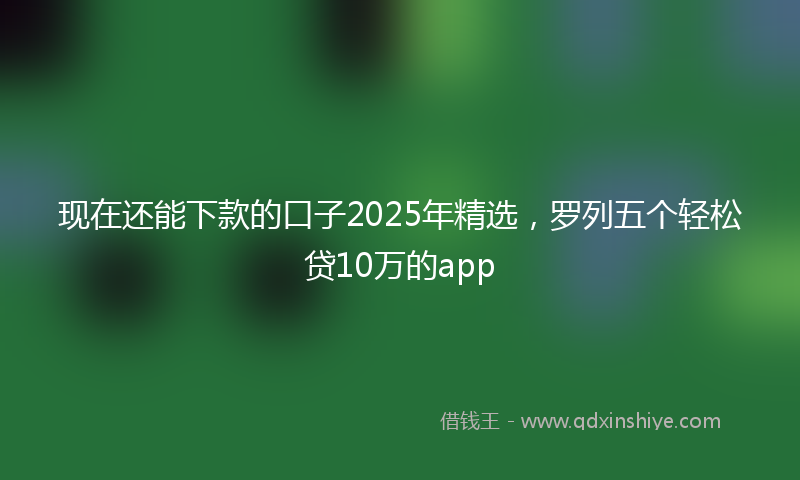 现在还能下款的口子2025年精选，罗列五个轻松贷10万的app