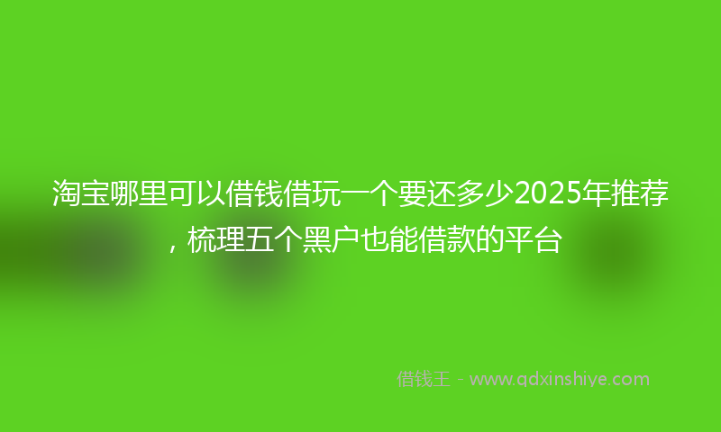 淘宝哪里可以借钱借玩一个要还多少2025年推荐，梳理五个黑户也能借款的平台