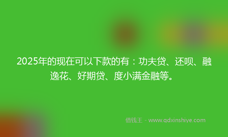 2025年的现在可以下款的有：功夫贷、还呗、融逸花、好期贷、度小满金融等。