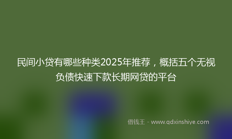 民间小贷有哪些种类2025年推荐，概括五个无视负债快速下款长期网贷的平台
