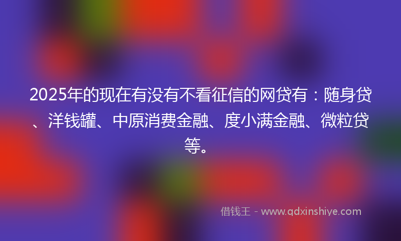 2025年的现在有没有不看征信的网贷有：随身贷、洋钱罐、中原消费金融、度小满金融、微粒贷等。
