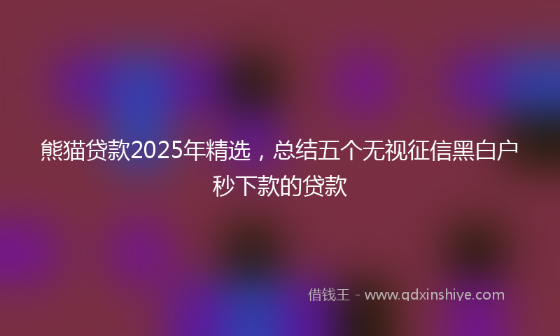 熊猫贷款2025年精选，总结五个无视征信黑白户秒下款的贷款