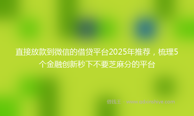 直接放款到微信的借贷平台2025年推荐，梳理5个金融创新秒下不要芝麻分的平台