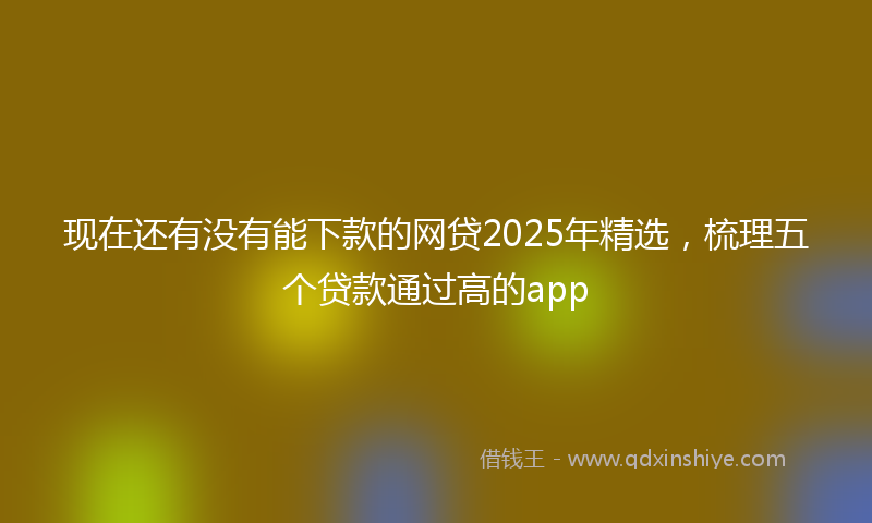 现在还有没有能下款的网贷2025年精选,梳理五个贷款通过高的app