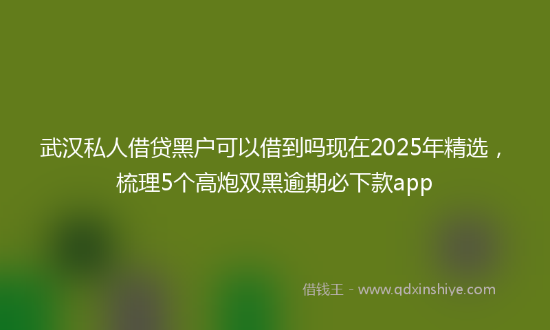 武汉私人借贷黑户可以借到吗现在2025年精选，梳理5个高炮双黑逾期必下款app