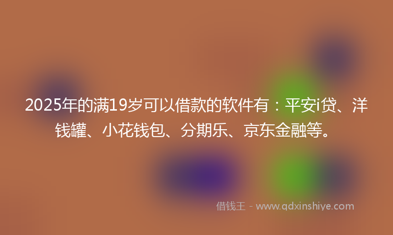 2025年的满19岁可以借款的软件有：平安i贷、洋钱罐、小花钱包、分期乐、京东金融等。