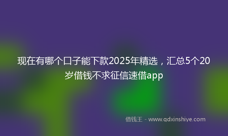 现在有哪个口子能下款2025年精选，汇总5个20岁借钱不求征信速借app