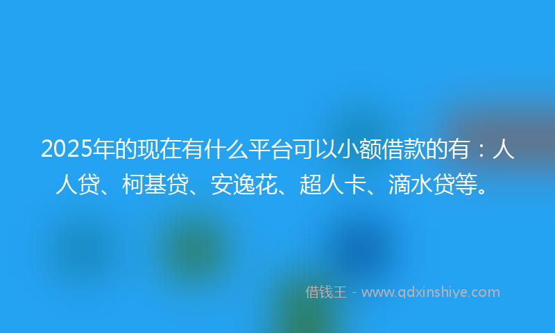 2025年的现在有什么平台可以小额借款的有：人人贷、柯基贷、安逸花、超人卡、滴水贷等。