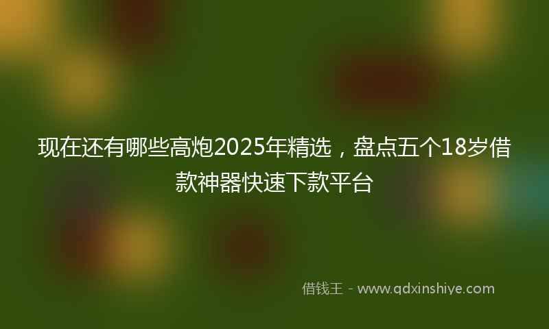现在还有哪些高炮2025年精选，盘点五个18岁借款神器快速下款平台