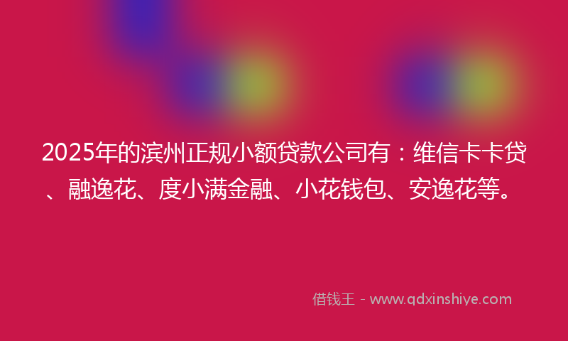 2025年的滨州正规小额贷款公司有：维信卡卡贷、融逸花、度小满金融、小花钱包、安逸花等。