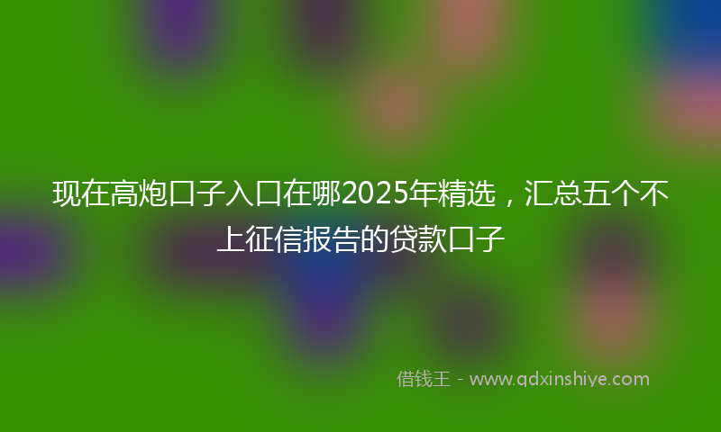 现在高炮口子入口在哪2025年精选，汇总五个不上征信报告的贷款口子