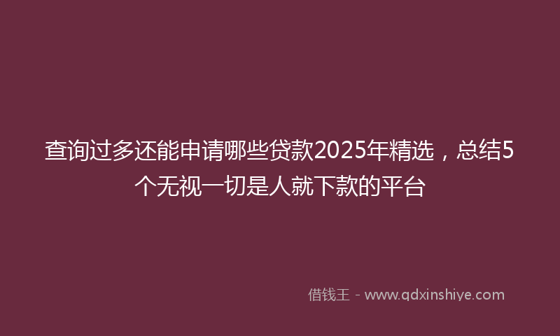 查询过多还能申请哪些贷款2025年精选，总结5个无视一切是人就下款的平台
