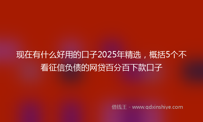 现在有什么好用的口子2025年精选，概括5个不看征信负债的网贷百分百下款口子