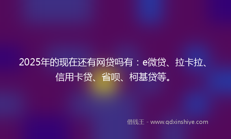 2025年的现在还有网贷吗有：e微贷、拉卡拉、信用卡贷、省呗、柯基贷等。