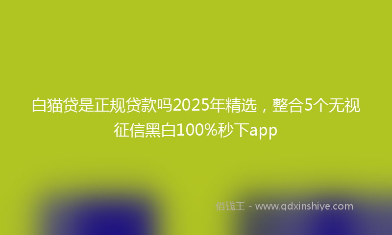 白猫贷是正规贷款吗2025年精选，整合5个无视征信黑白100%秒下app