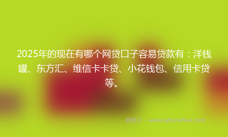 2025年的现在有哪个网贷口子容易贷款有：洋钱罐、东方汇、维信卡卡贷、小花钱包、信用卡贷等。
