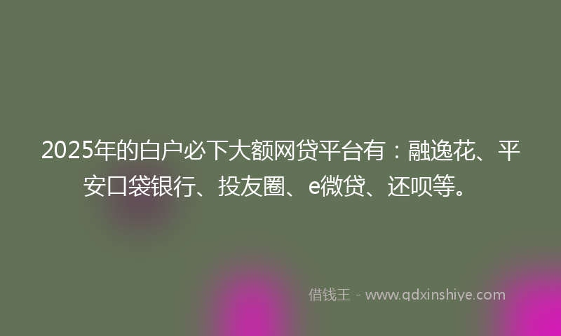 2025年的白户必下大额网贷平台有：融逸花、平安口袋银行、投友圈、e微贷、还呗等。