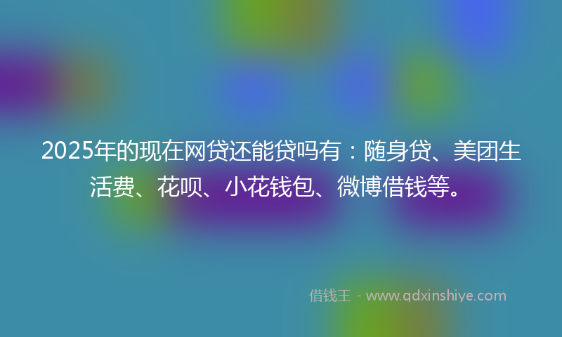 2025年的现在网贷还能贷吗有：随身贷、美团生活费、花呗、小花钱包、微博借钱等。