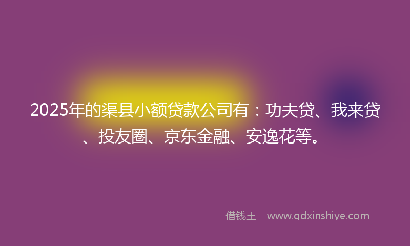 2025年的渠县小额贷款公司有：功夫贷、我来贷、投友圈、京东金融、安逸花等。