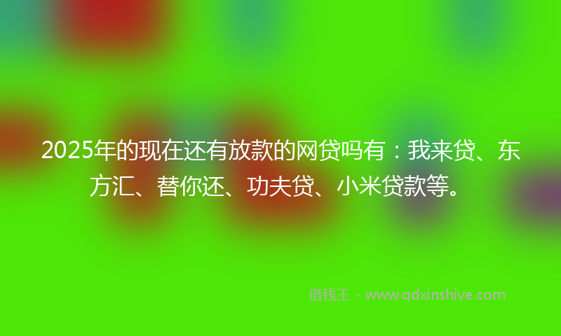 2025年的现在还有放款的网贷吗有：我来贷、东方汇、替你还、功夫贷、小米贷款等。
