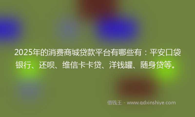 2025年的消费商城贷款平台有哪些有：平安口袋银行、还呗、维信卡卡贷、洋钱罐、随身贷等。