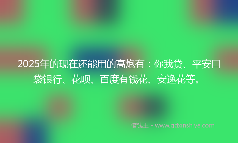 2025年的现在还能用的高炮有：你我贷、平安口袋银行、花呗、百度有钱花、安逸花等。