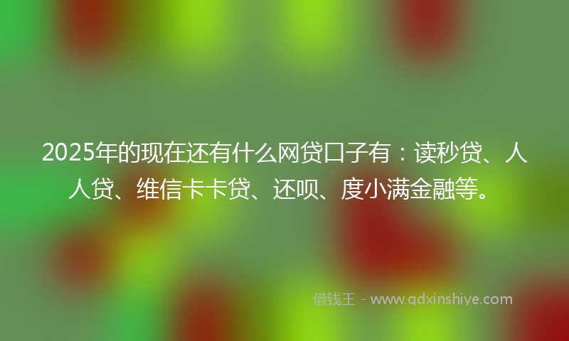 2025年的现在还有什么网贷口子有:读秒贷、人人贷、维信卡卡贷、还呗、度小满金融等。