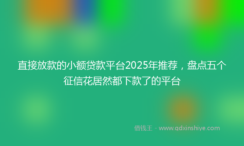 直接放款的小额贷款平台2025年推荐，盘点五个征信花居然都下款了的平台