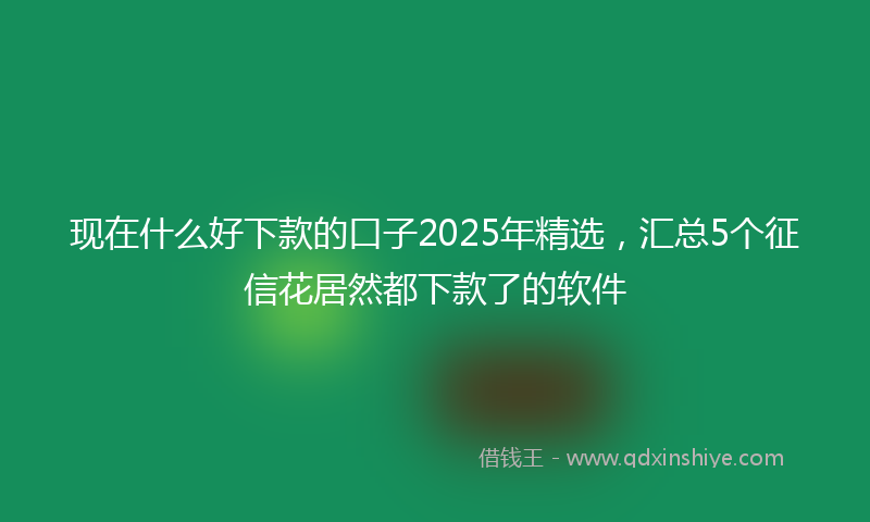 现在什么好下款的口子2025年精选，汇总5个征信花居然都下款了的软件