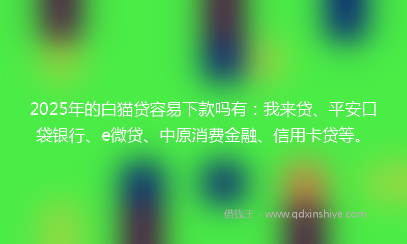 2025年的白猫贷容易下款吗有:我来贷、平安口袋银行、e微贷、中原消费金融、信用卡贷等。
