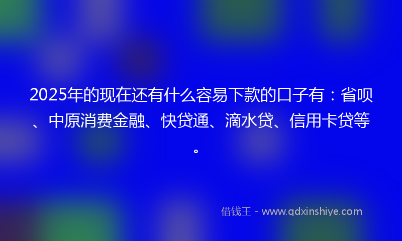 2025年的现在还有什么容易下款的口子有:省呗、中原消费金融、快贷通、滴水贷、信用卡贷等。